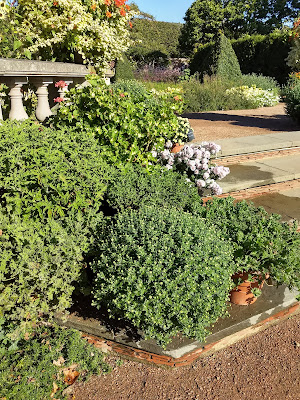 Plantas de geranio aromáticas en vasijas de barro sobre escalones con barandillas decorativas en el fondo