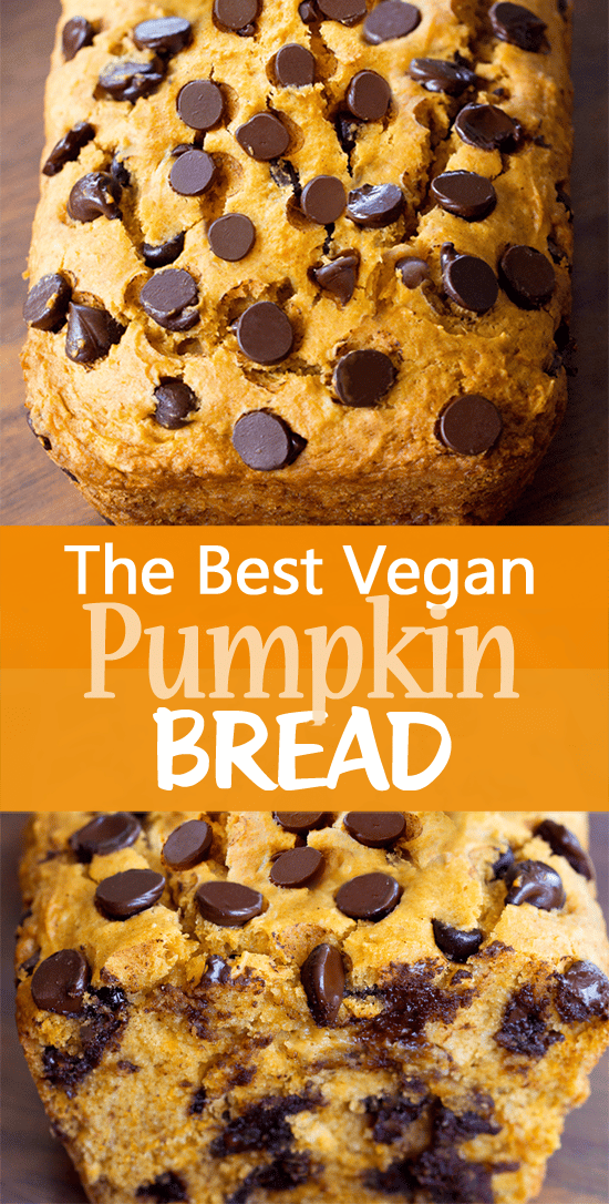 Pan de Calabaza Vegano - Katie Cubierto de Chocolate 10 Postre de Acción de Gracias con Pan de Calabaza a Base de Plantas