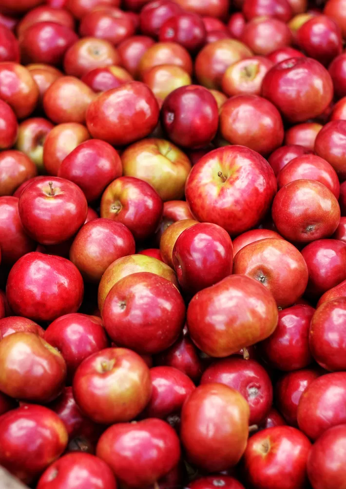 Manzanas de la gala Manzanas de la gala