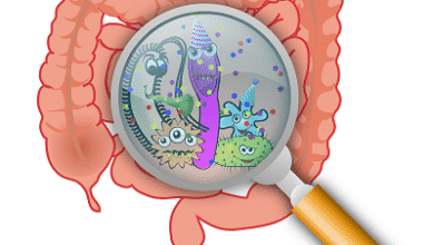 How Exercise Affects Gut Flora