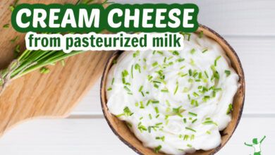 1640285006 Como hacer queso crema con leche pasteurizada