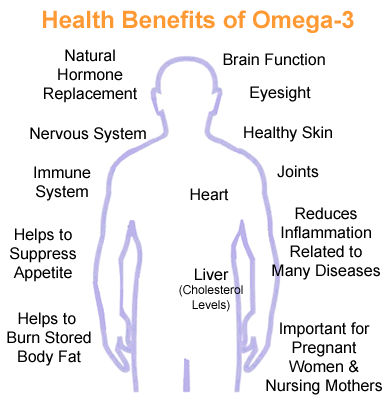 Por qué son importantes los ácidos grasos omega 3