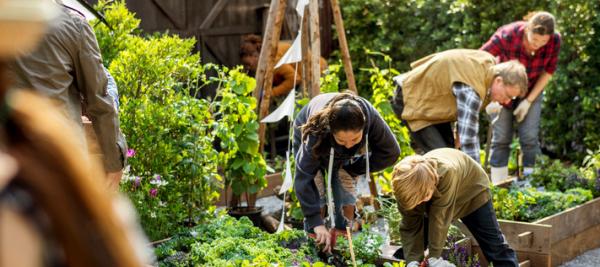 Gardening may help cancer survivors eat better
