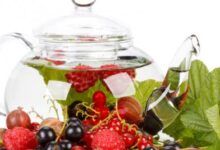 More berries, apples and tea may protect against Alzheimer's
