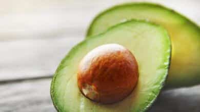 An avocado a day day keeps gut microbes happy