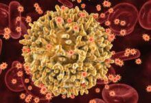 Virus VIH que infecta a los linfocitos T