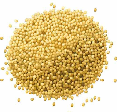 superalimentos de cereales jowar por debajo de Rs 50