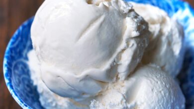 Coconut Milk Ice Cream Recipe