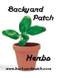1653668000 Blog de Backyard Patch Herbs Un mundo cambiante Como