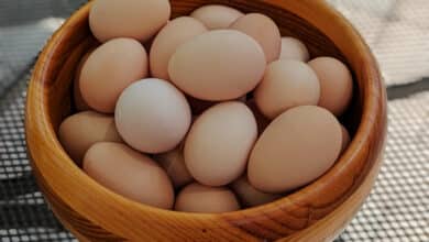Las 3 Mejores Maneras de Conservar Huevos Frescos