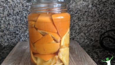 orange peels in a glass jar of vinegar on granite counter