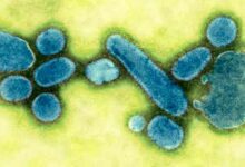 virus de la gripe H1N1 1918