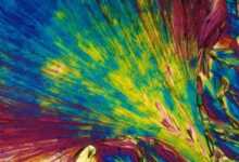 Micrografía de luz polarizada de fenilalanina