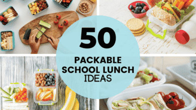 collage header of 50 packable school lunch ideas with 4 quadrants of lunchbox photos