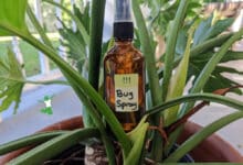 homemade insect repellent spray in amber bottle natural background