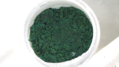freshly made green vegetable powder low in oxalates in white cup