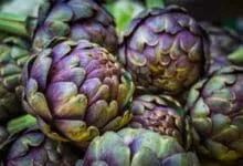 alcachofas frescas en el mercado de agricultores;  DNI Shutterstock 1472137547;  orden de compra: -;  Trabajo: -;  cliente: -;  otro: -