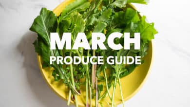 Novedades de temporada: Guía de productos de marzo
