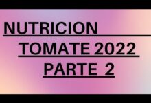 Tomate Nutrición #2 2022