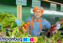 Blippi sobre alimentación saludable | @Blippi Español | Moonbug Kids Español