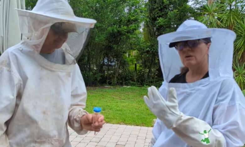 beekeeper safely marking a queen bee
