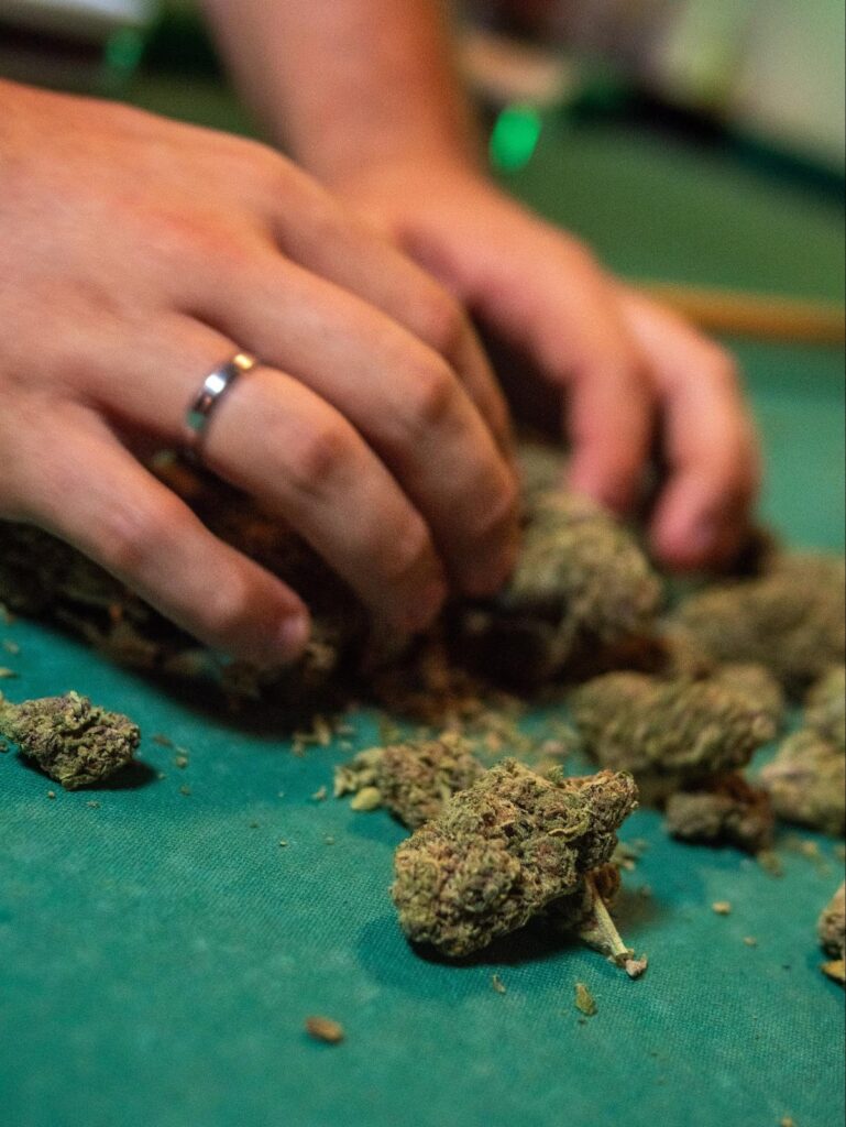 ¿Es legal consumir marihuana en Madrid? Aquí te lo contamos todo 3 consumir marihuana en Madrid