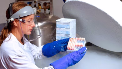 Logística criogénica de materiales biológicos: la empresa Ark.Cryo 1 Logística criogénica de materiales biológicos mujer